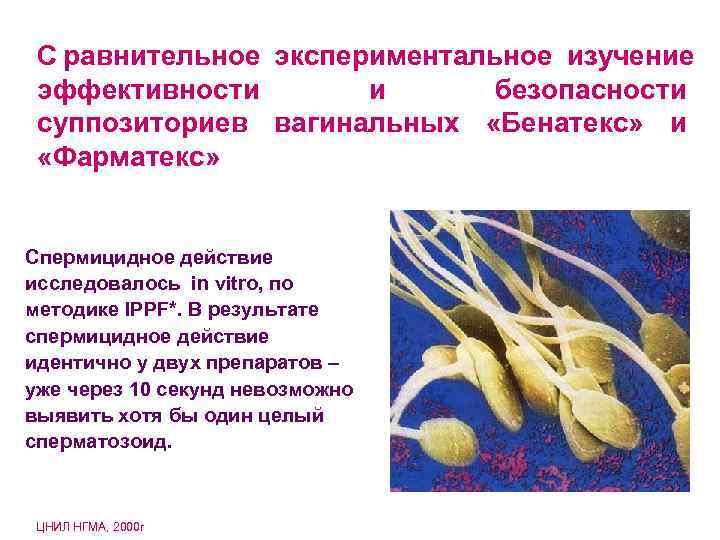 C равнительное экспериментальное изучение эффективности и безопасности суппозиториев вагинальных «Бенатекс» и C равнительное экспериментальное изучение эффективности и безопасности суппозиториев вагинальных «Бенатекс» и