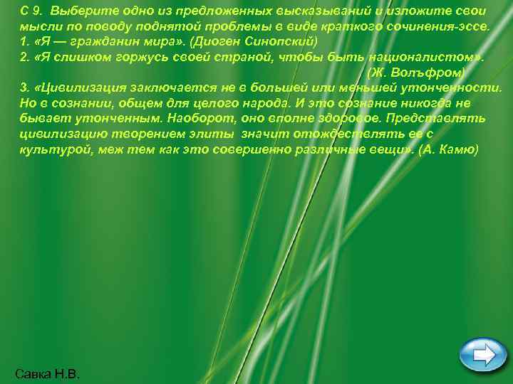 С 9. Выберите одно из предложенных высказываний и изложите свои мысли по поводу поднятой
