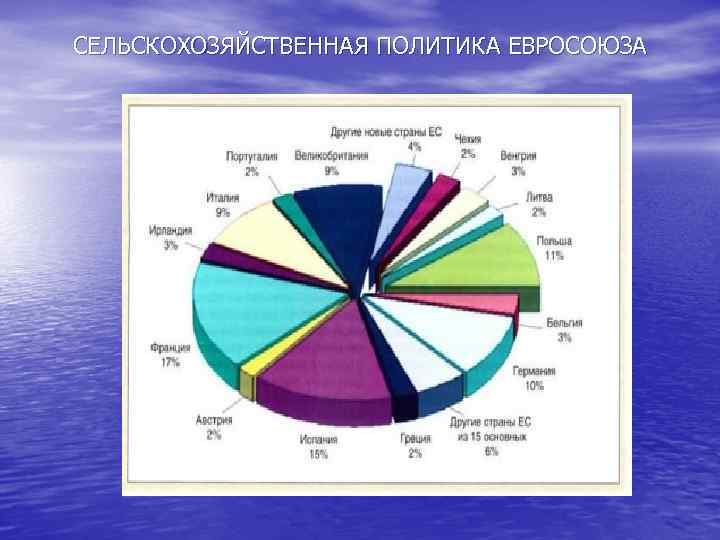 СЕЛЬСКОХОЗЯЙСТВЕННАЯ ПОЛИТИКА ЕВРОСОЮЗА 