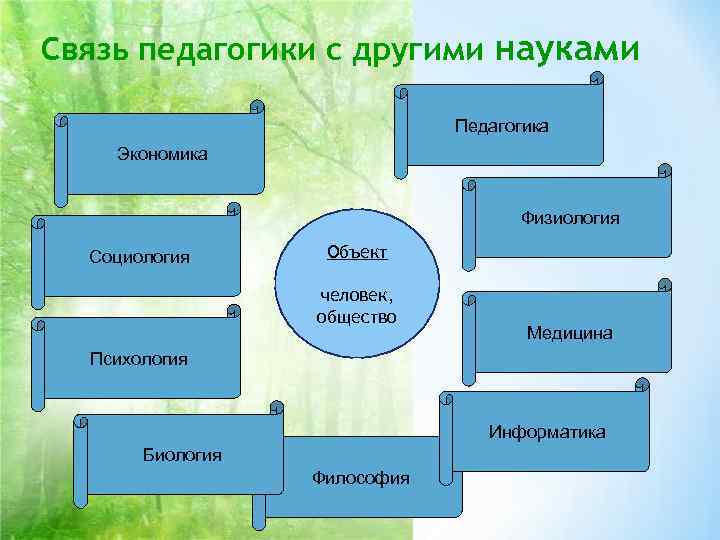 Связь педагогики с другими науками Педагогика Экономика Связь педагогики с другими науками Педагогика Экономика