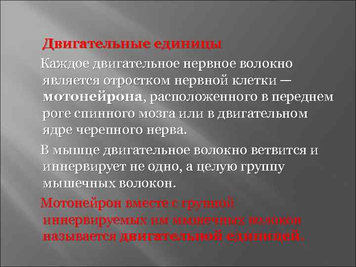 Двигательные единицы Каждое двигательное нервное волокно является отростком нервной клетки — мотонейрона, расположенного в