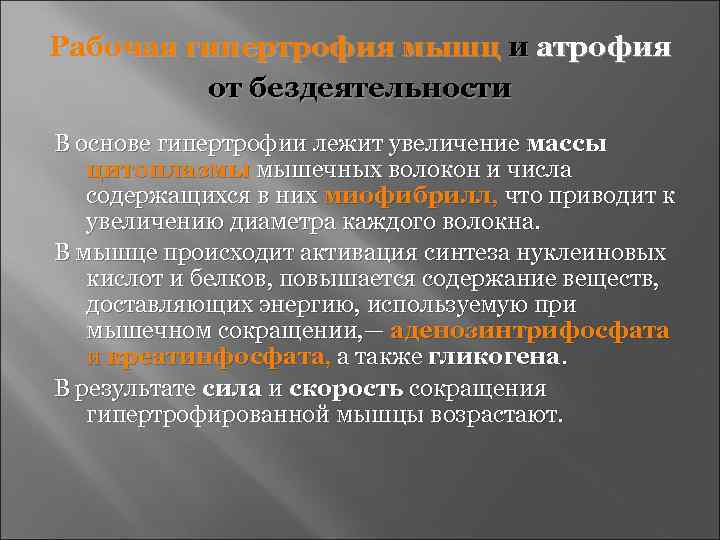 Рабочая гипертрофия мышц и атрофия   от бездеятельности В основе гипертрофии лежит увеличение