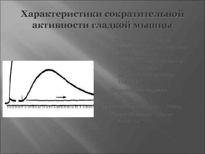 Характеристики сократительной  активности гладкой мышцы   Сокращение гладкой    мышцы