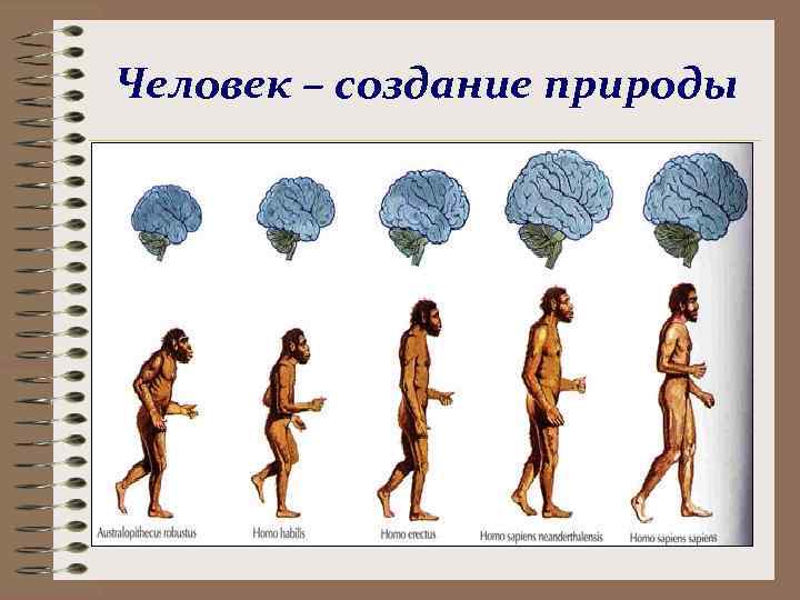 Что делает человека человеком презентация