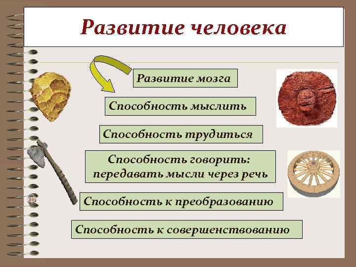 Развитие человека   Развитие мозга Способность мыслить Способность трудиться Способность говорить:  передавать