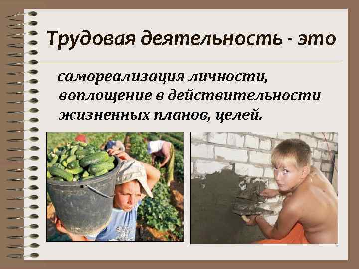 Трудовая деятельность - это самореализация личности,  воплощение в действительности жизненных планов, целей. 