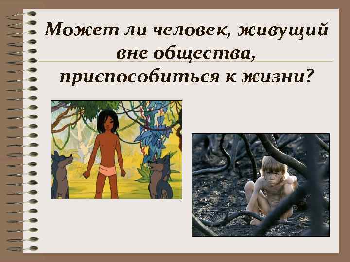 Может ли человек, живущий  вне общества,  приспособиться к жизни? 