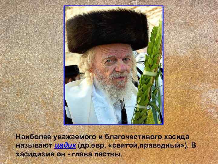 Наиболее уважаемого и благочестивого хасида называют цадик (др. евр.  «святой, праведный» ). В