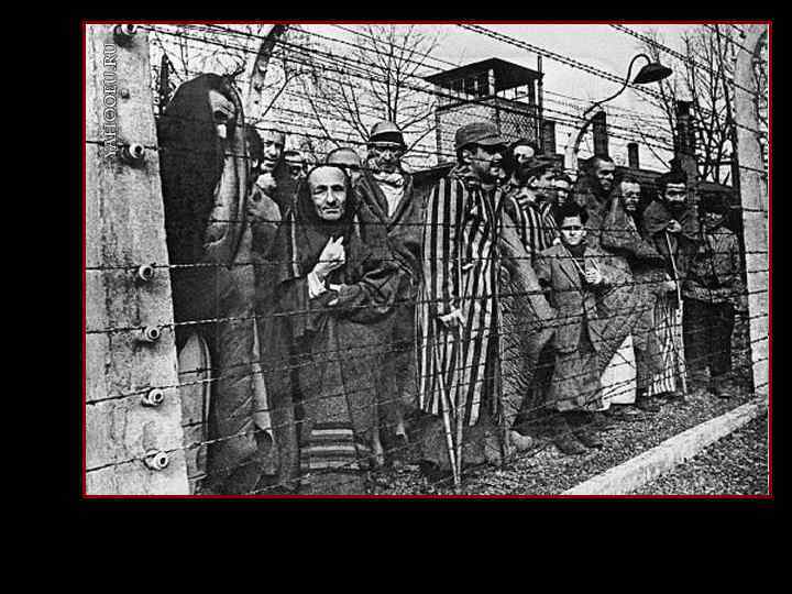 Нацистские «лагеря смерти» 