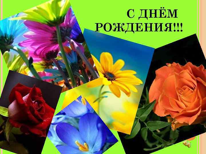   С ДНЁМ РОЖДЕНИЯ!!! 