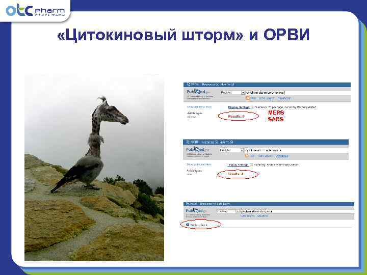  «Цитокиновый шторм» и ОРВИ     MERS    