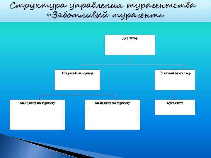 Структура управления турагентства  «Заботливый турагент»     Директор   