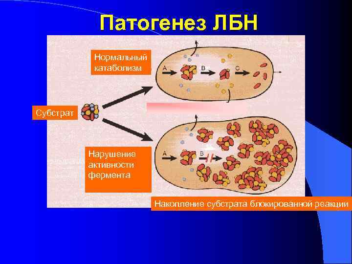    Патогенез ЛБН   Нормальный   катаболизм Субстрат  