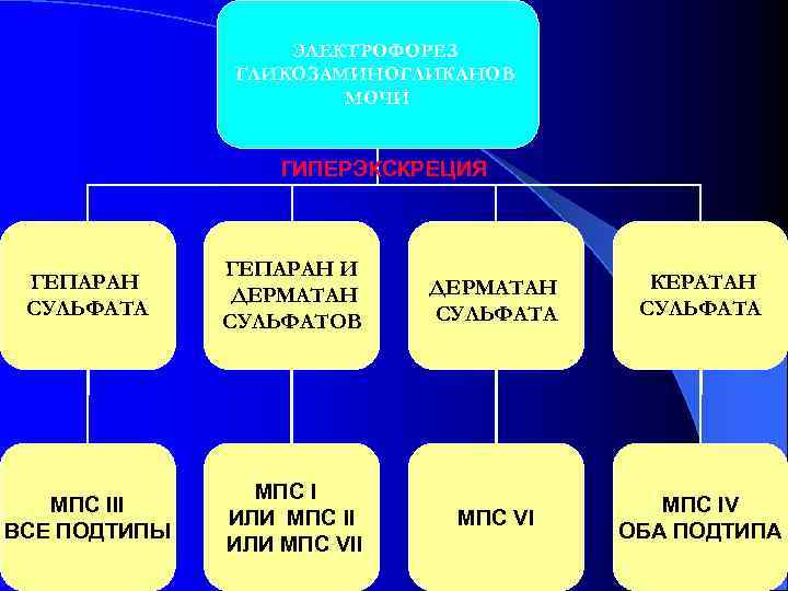   ЭЛЕКТРОФОРЕЗ    ГЛИКОЗАМИНОГЛИКАНОВ    МОЧИ  
