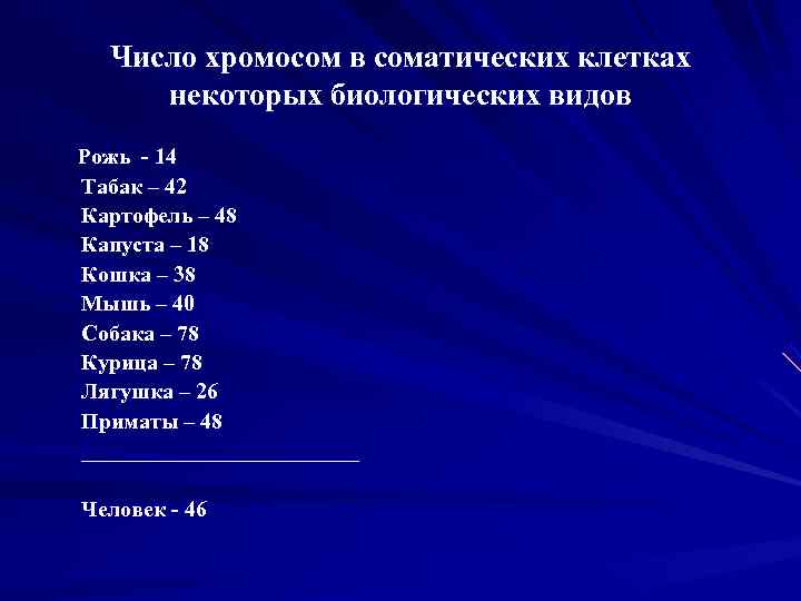  Число хромосом в соматических клетках некоторых биологических видов Рожь - 14 Табак –