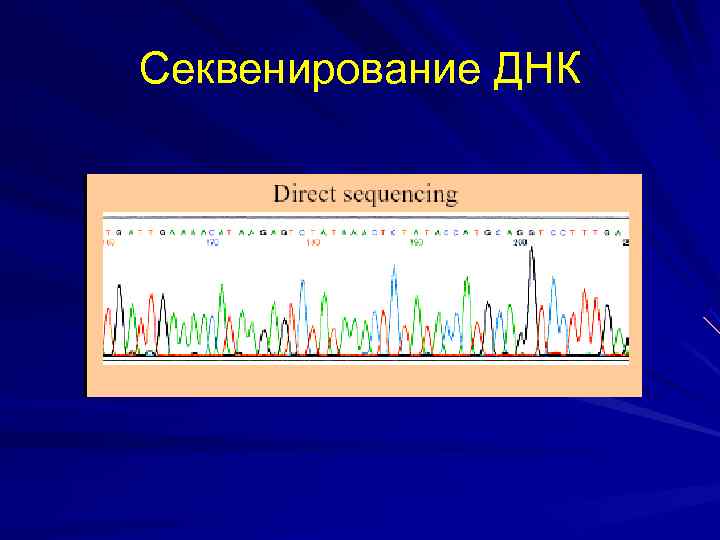 Секвенирование днк презентация