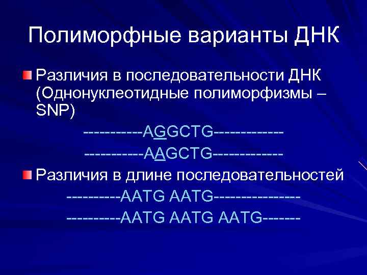 Полиморфные варианты ДНК Различия в последовательности ДНК (Однонуклеотидные полиморфизмы – SNP)  ------AGGCTG------- 