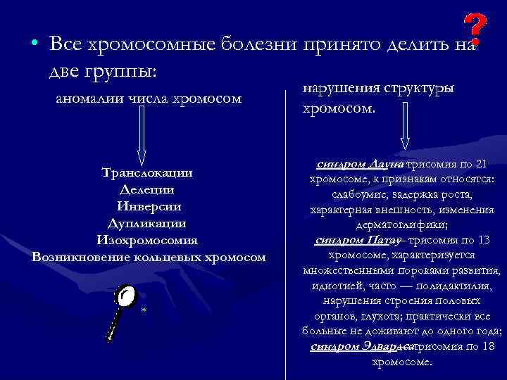  • Все хромосомные болезни принято делить на  две группы:   