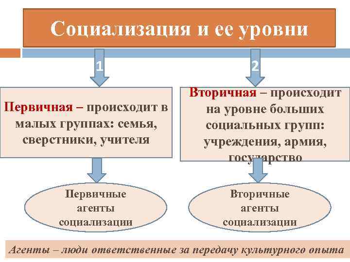 Агенты вторичной социализации. Агенты социализации первичные и вторичные. Агенты социализации первичные и вторичные таблица. Агенты социализации первичные и вторичные схема. Агенты вторичной социализации примеры.