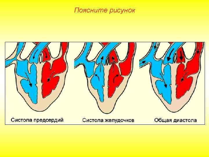 Поясните рисунок 