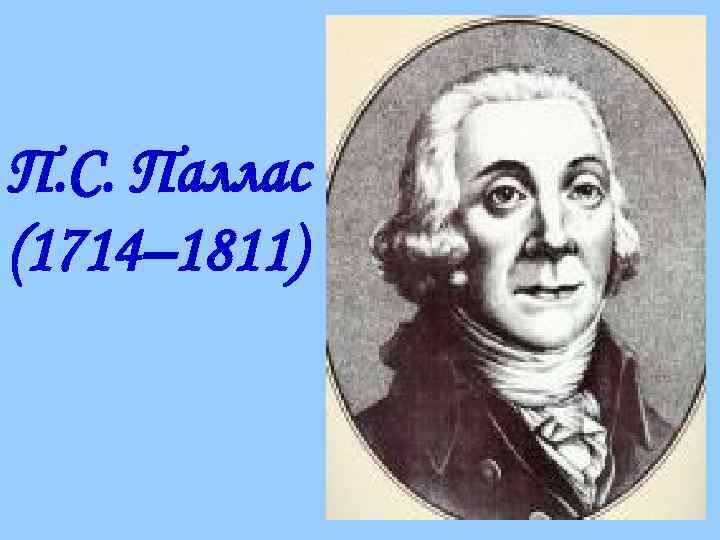П. С. Паллас (1714– 1811) 