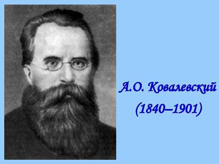 А. О. Ковалевский  (1840– 1901) 