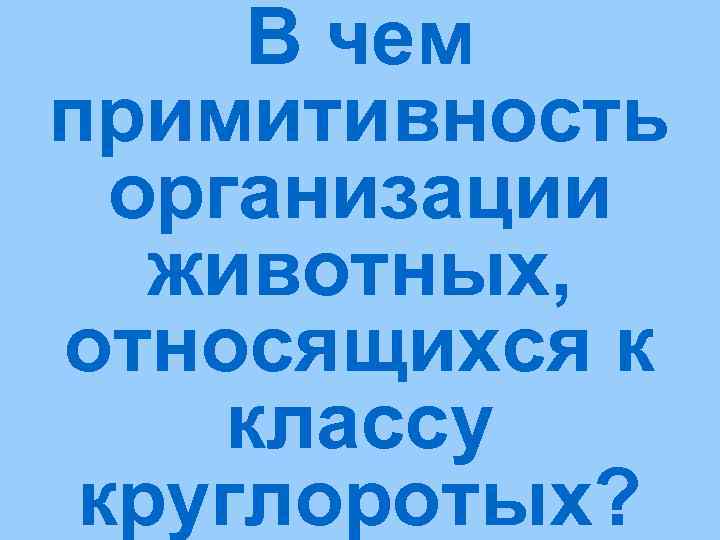  В чем примитивность  организации  животных, относящихся к классу круглоротых? 
