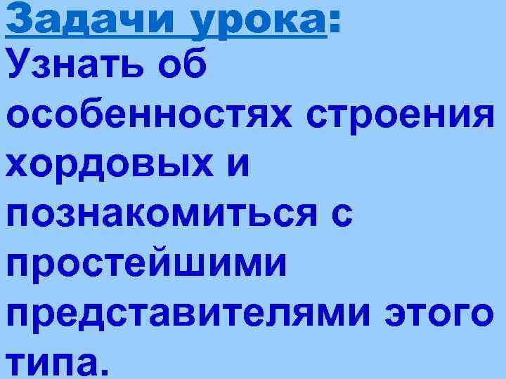 Задачи урока: Узнать об особенностях строения хордовых и познакомиться с простейшими представителями этого типа.
