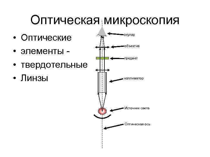  Оптическая микроскопия •  Оптические     окуляр   