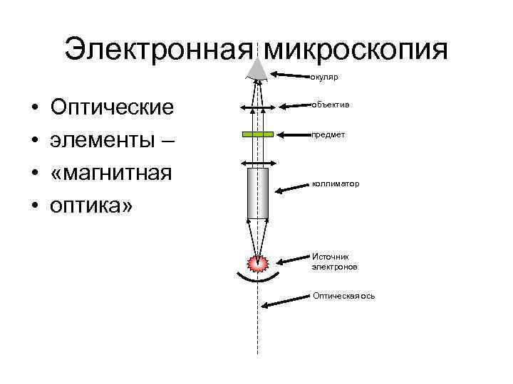  Электронная микроскопия    окуляр •  Оптические объектив •  элементы
