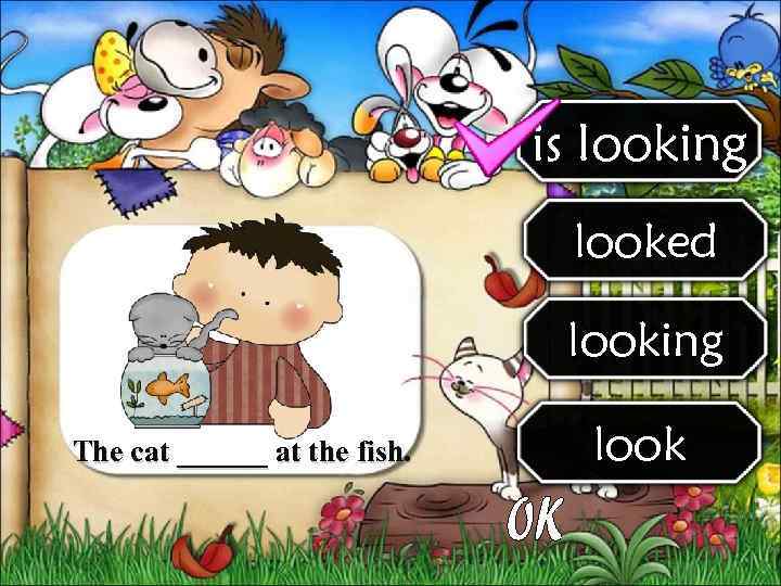      is looking      looked 