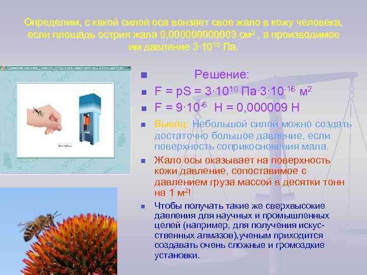 Давление осы. С какой силой Оса вонзает свое жало в кожу человека если. Оса вонзает свое жало в кожу человека с силой определить какой силой. Определите давление оказываемое острием жала осы если.