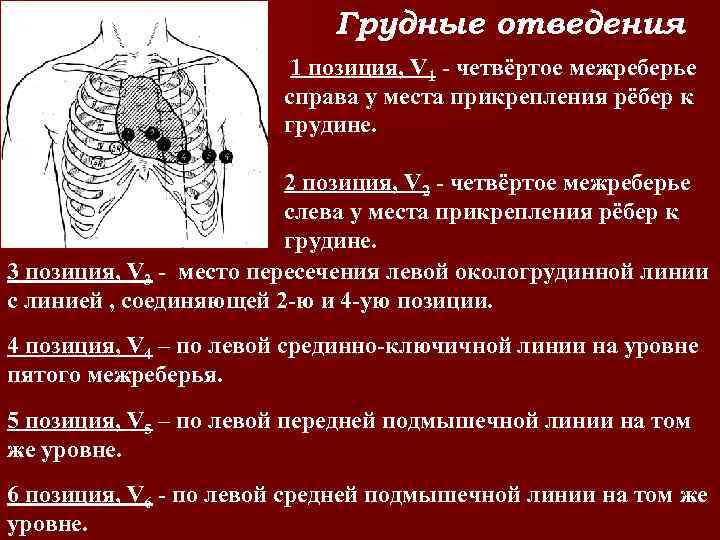 Сердечный комплекс. Грудные отведения. Правые грудные отведения на ЭКГ. Левые грудные отведения. Левые и правые грудные отведения на ЭКГ.