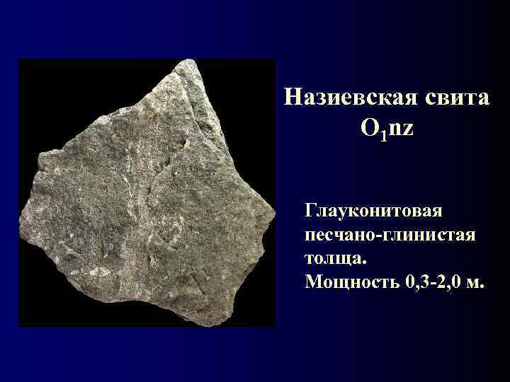 Назиевская свита  О 1 nz  Глауконитовая песчано-глинистая толща.  Мощность 0, 3