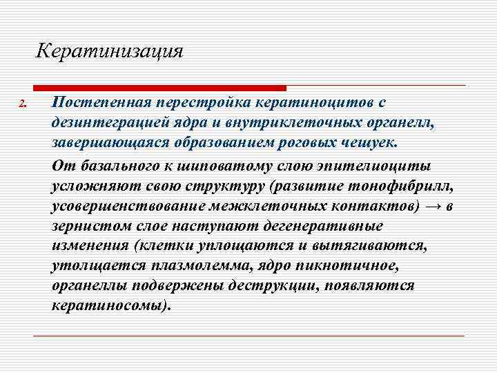  Кератинизация 2. Постепенная перестройка кератиноцитов с  дезинтеграцией ядра и внутриклеточных органелл, 