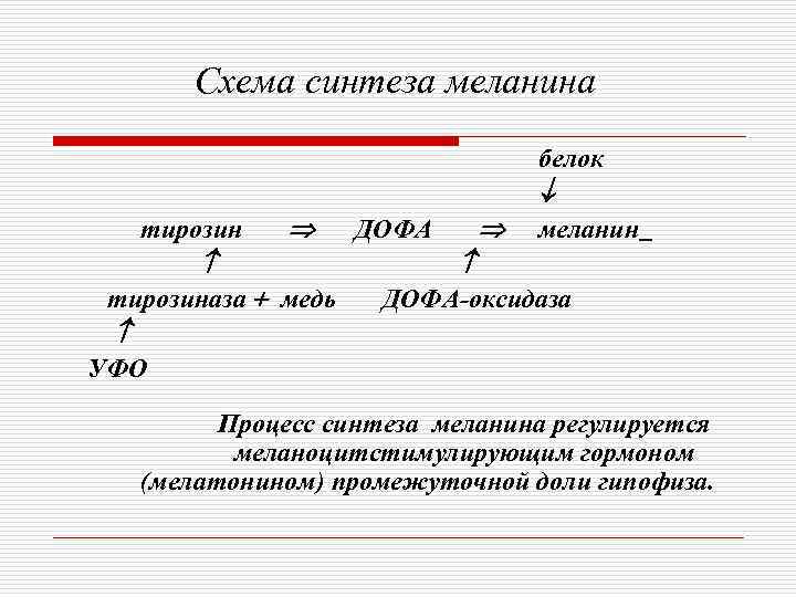 Схема синтеза меланина