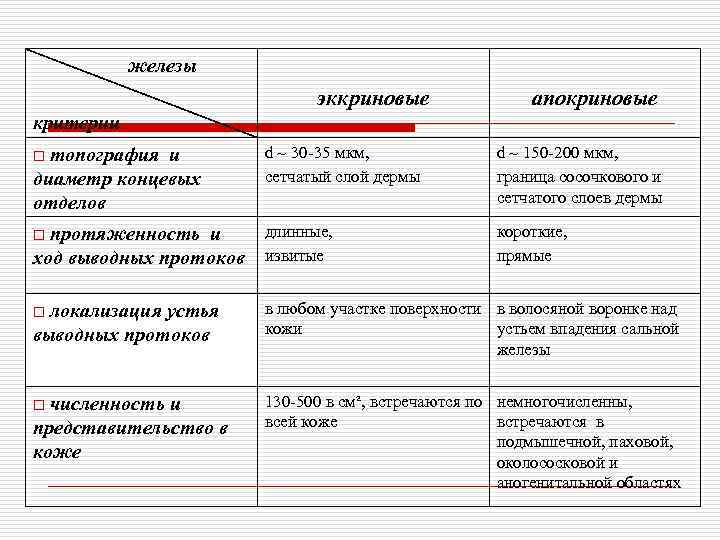   железы     эккриновые   апокриновые критерии o топография