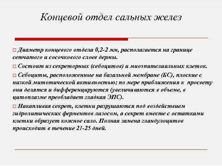   Концевой отдел сальных желез  o Диаметр концевого отдела 0, 2 -2