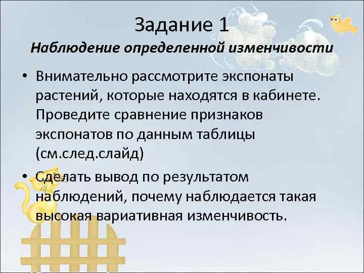     Задание 1 Наблюдение определенной изменчивости • Внимательно рассмотрите экспонаты 