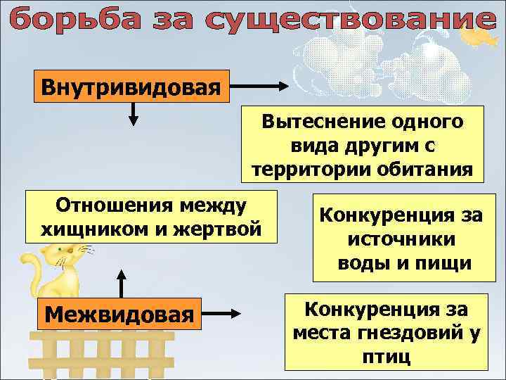 Наследственная изменчивость презентация 10 класс профильный уровень