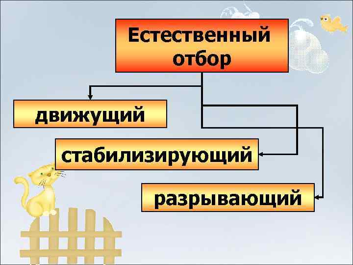  Естественный  отбор движущий  стабилизирующий   разрывающий 