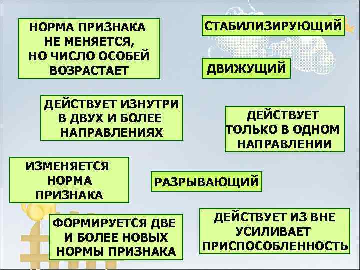 НОРМА ПРИЗНАКА   СТАБИЛИЗИРУЮЩИЙ  НЕ МЕНЯЕТСЯ, НО ЧИСЛО ОСОБЕЙ  ВОЗРАСТАЕТ 