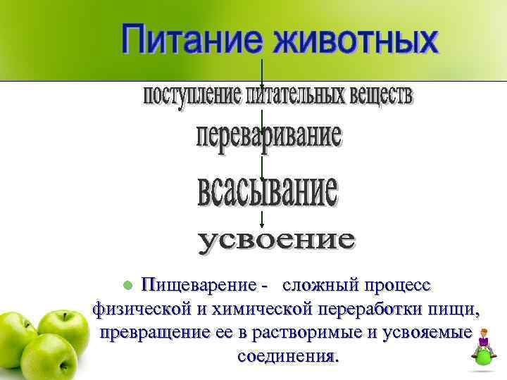 Пищеварение презентация 8 класс биология