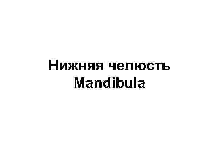 Нижняя челюсть  Mandibula 