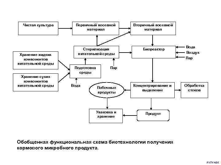  Чистая культура Первичный посевной  Вторичный посевной      материал