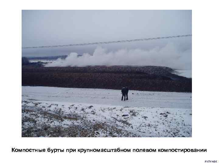 Компостные бурты при крупномасштабном полевом компостировании      РХТУ АЕК 