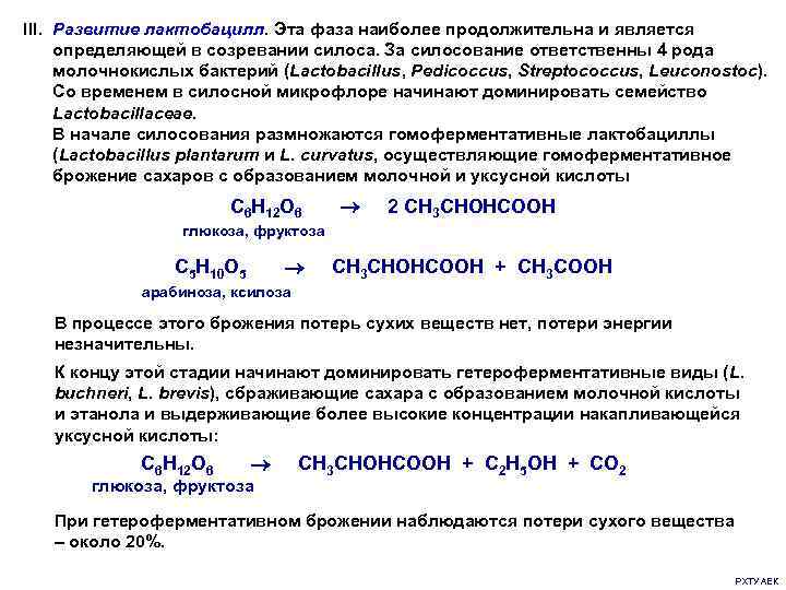 III. Развитие лактобацилл. Эта фаза наиболее продолжительна и является определяющей в созревании силоса. За