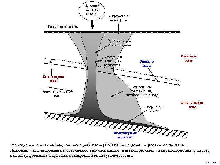        Источник    разлива  