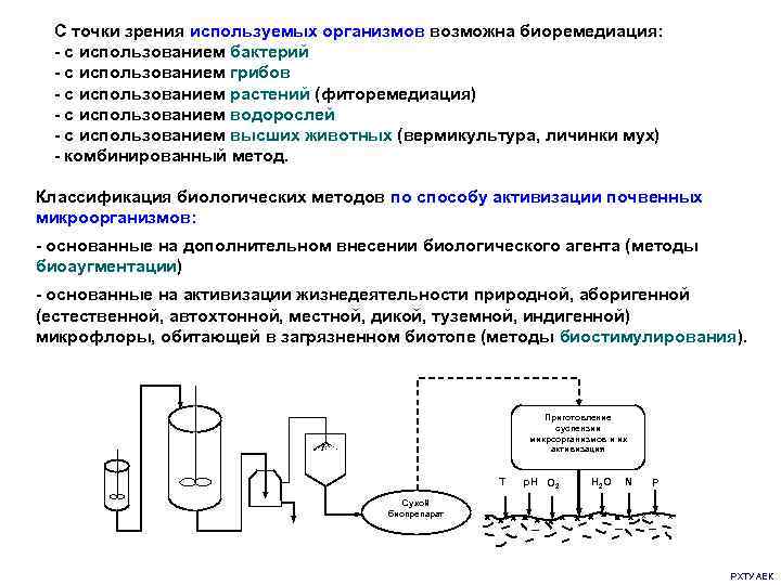  С точки зрения используемых организмов возможна биоремедиация:  - с использованием бактерий -