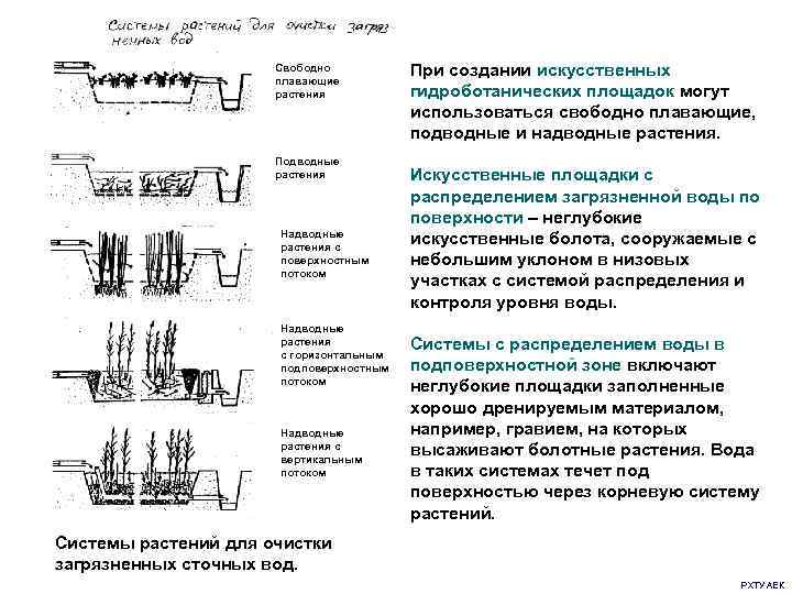      Свободно    плавающие    